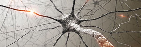 Exercite seu cérebro