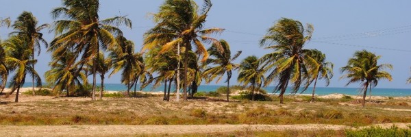Escolha o terreno antes de construir