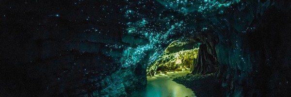 Glowworm Caves: A caverna iluminada!